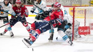 DANA MATSIRAPORTTI: Nälkä jäi joulupöytään