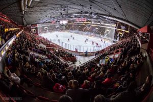 Tässä ovat IFK:n uudet pelaajat