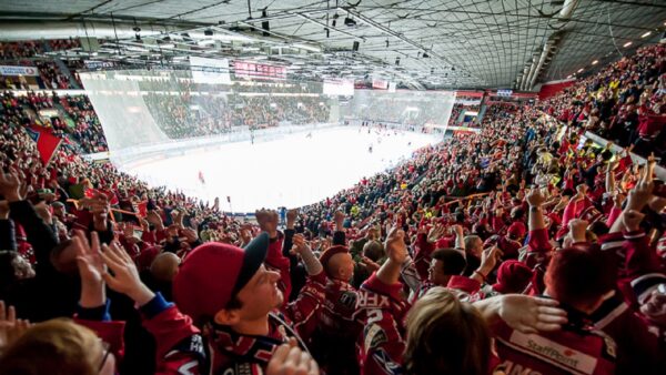 Tätä kaikkea tapahtuu lauantaina – Fan Clubin suuri juhlapäivä!