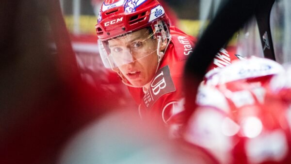 Ville Varakas: Raivoa maalintekoon