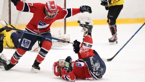 Stadin Gimmoille makea päänahka sarjakakkosesta