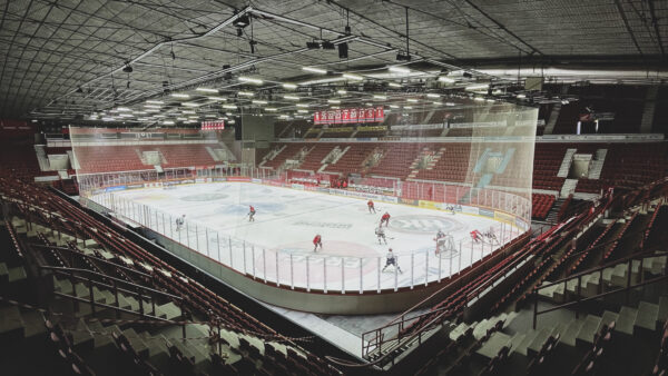 Kyocera uutisminuutti: Kevään merkkejä