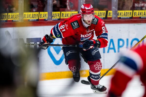 GIGANTTI OTTELUSTUDIO: Saalistajan katse